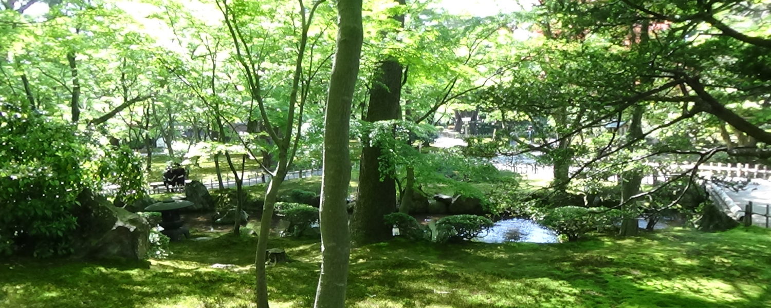 ちかでぃくの
